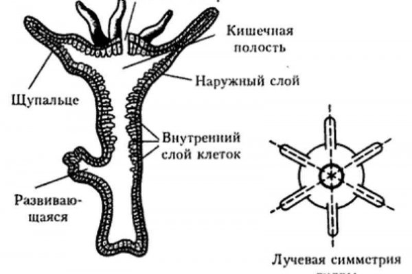 Кракен площадка вход